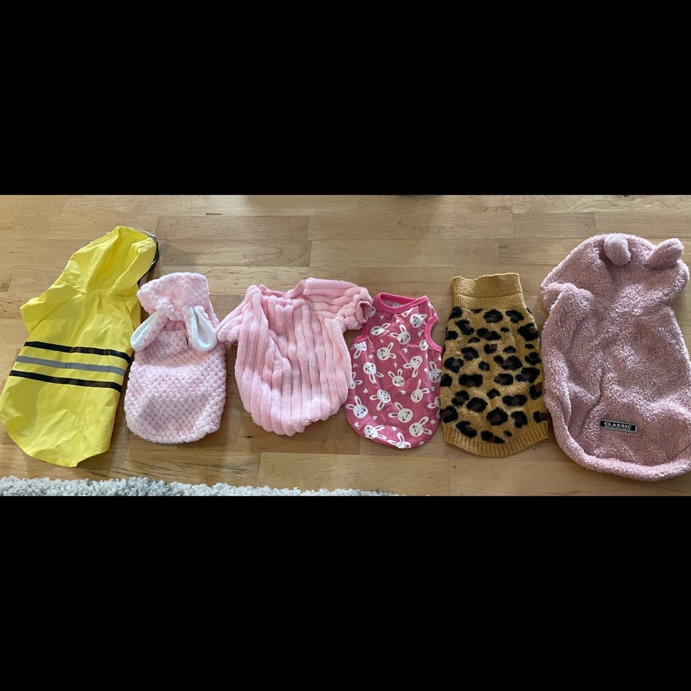 Lot of small dog clothes all like new